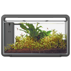 Superfish Home 30 LED Aquarium - Black