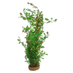 AquaManta Gravel Base Artificial Plant - Green Red Lobelia