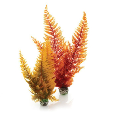 Autumn fern, aquarium ornaments.