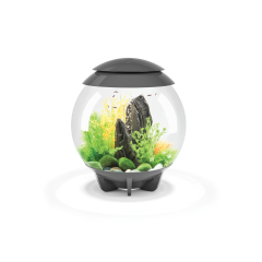 BiOrb Halo 30 MCR Aquarium - Grey