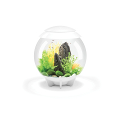 BiOrb Halo 30 MCR Aquarium - White