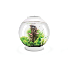 BiOrb Classic 30 MCR Aquarium - White 