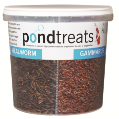 Evolution Aqua Pond Treats (700g)