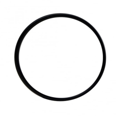 Laguna Pressure-Flo UVC Head O-Ring (PT1530)