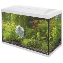 Superfish Start 100 Tropical Aquarium - White