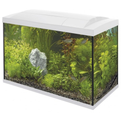 Superfish Start 70 Tropical Aquarium - White