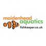 'Most improved Maidenhead Aquatics livestock', 2005