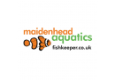 Maidenhead Aquatics 'Annual Award for Best Livestock', 2005