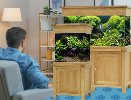 AquaOak February promotion