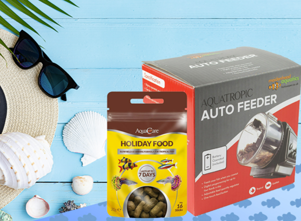 Holiday care for fish