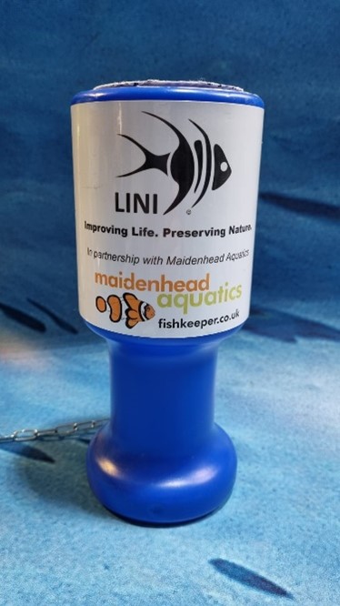 LINI Foundation collection tin
