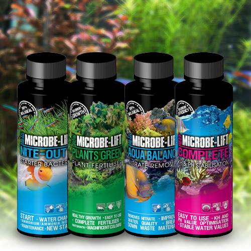 Microbe Lift range - Maidenhead Aquatics