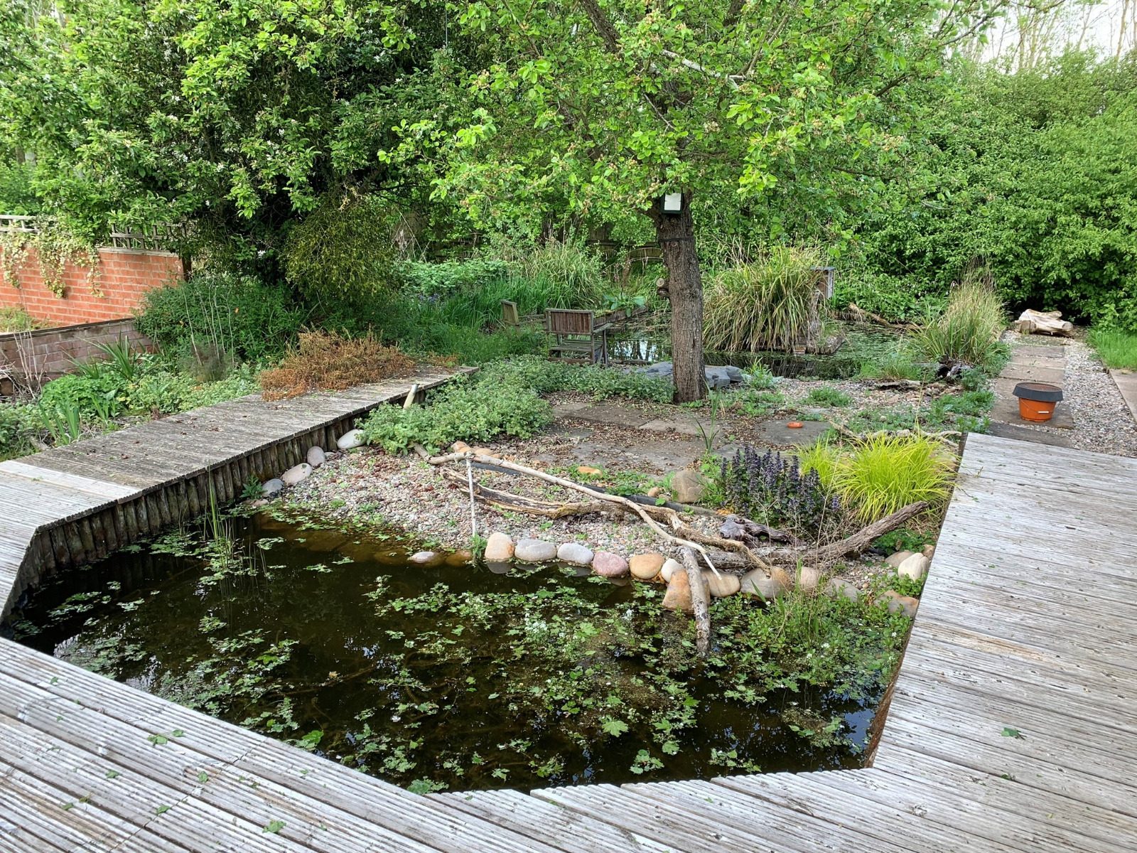 pond
