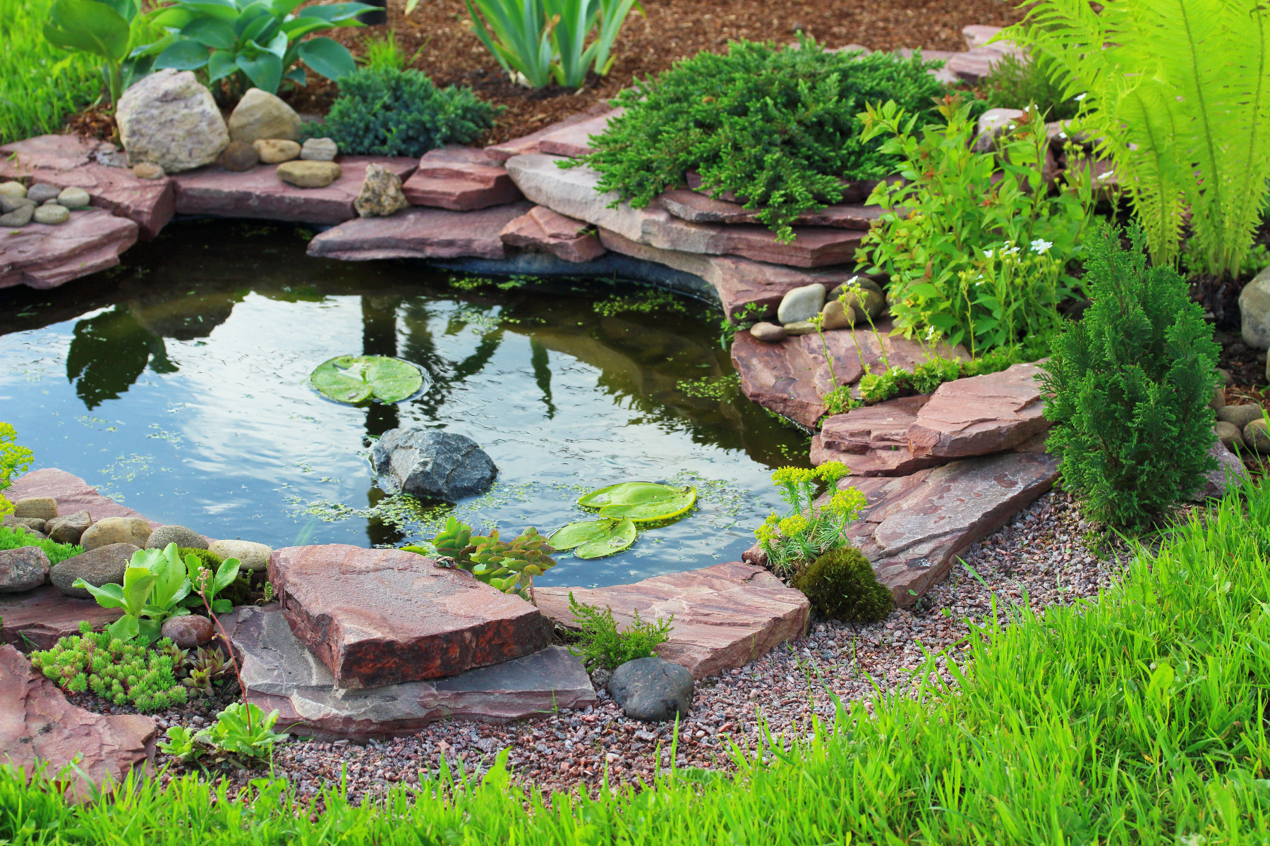 garden pond in landscape