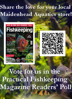 Vote in PFK Readers Poll