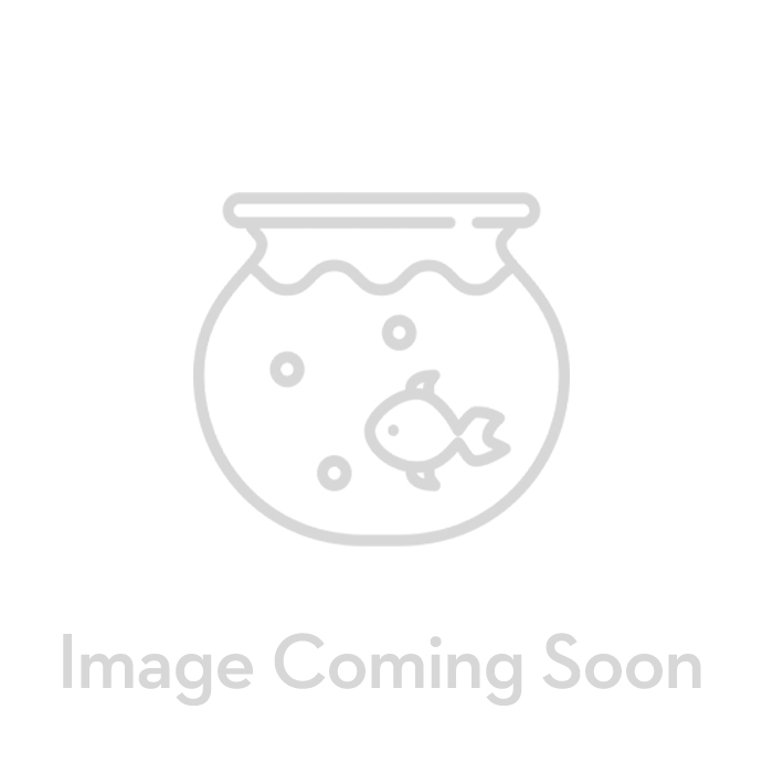 Aqua Nutrition Pond Sticks (300g) - Buy One Get One Free